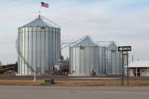 Distel Grain Cannon photo 11